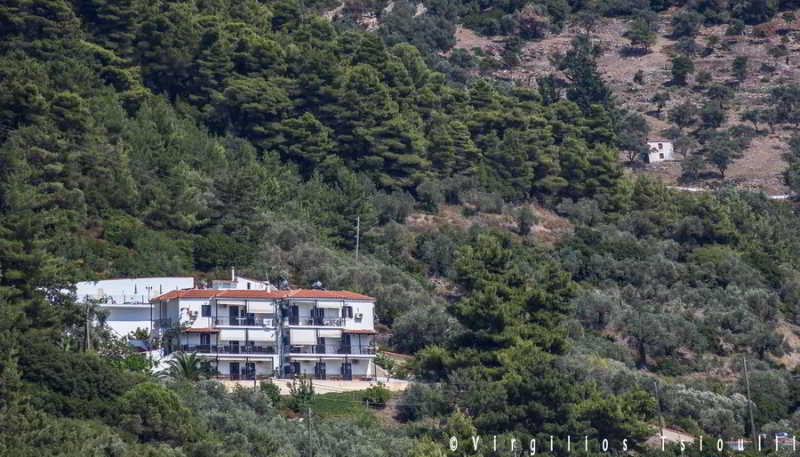 Aegeon Hotel Skopelos Town Bagian luar foto